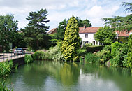 Village Pond Graveley